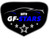 Logo GF Stars Auto di Fabbri Federica